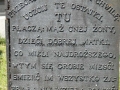 _mini-P1280785.JPG