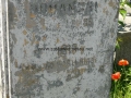 _mini-P1280791.JPG