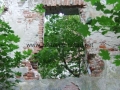 _mini-2008_0728_192832