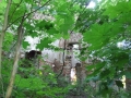 _mini-2008_0728_192853