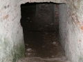_mini-2008_0728_192915