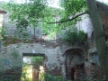 _mini-2008_0728_192934