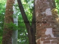 _mini-2008_0728_193053