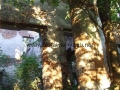 _mini-2008_0728_193244