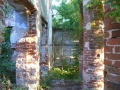 _mini-2008_0728_193247