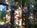 _mini-2008_0728_193419