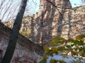 _mini-P1310167