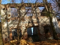 _mini-P1310175